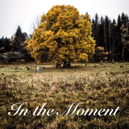 fb_1912222_The Colour of Leaves - In the Moment COVER WWW